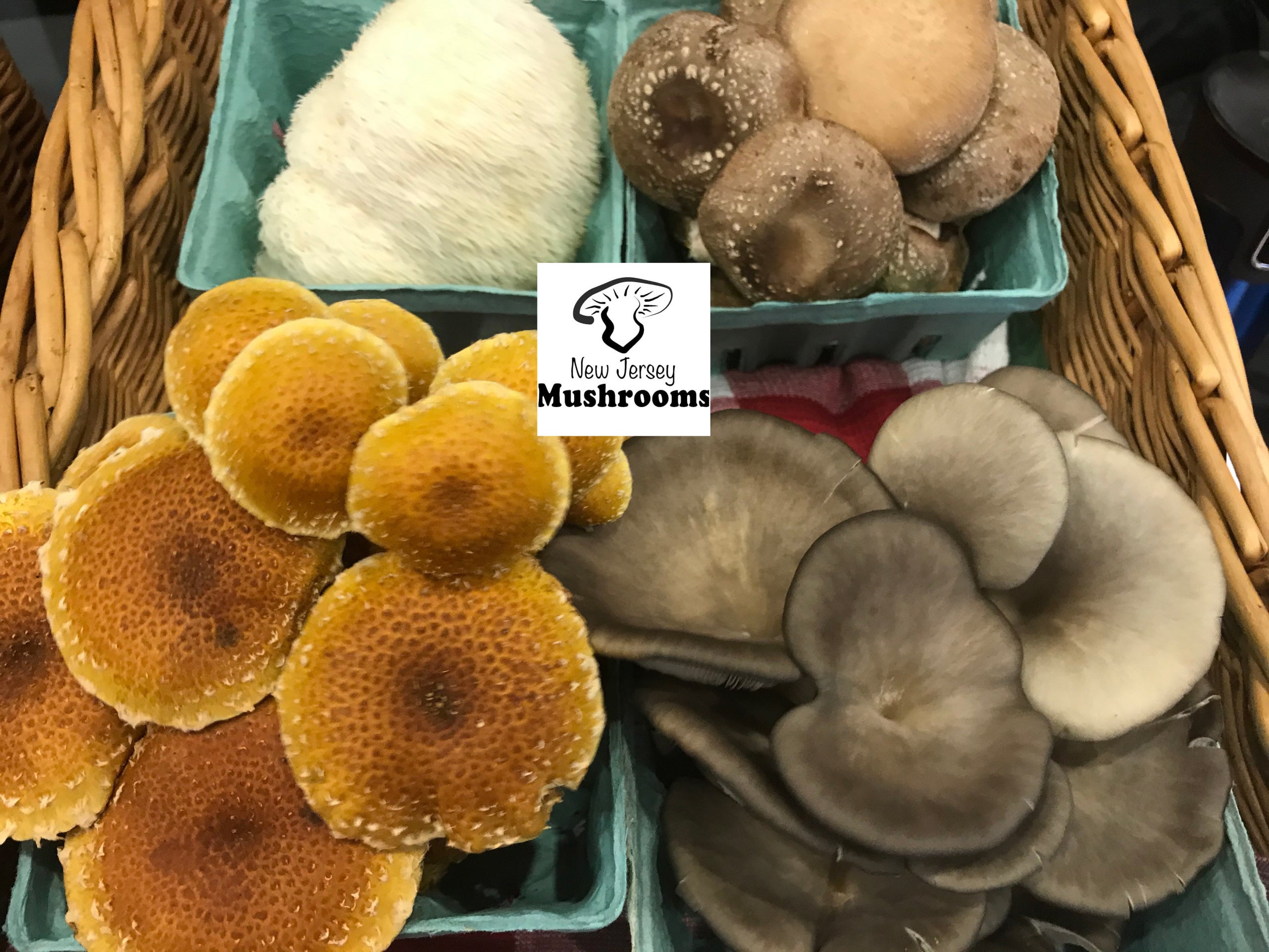 One Quart Mushrooms | Hazelman Farms