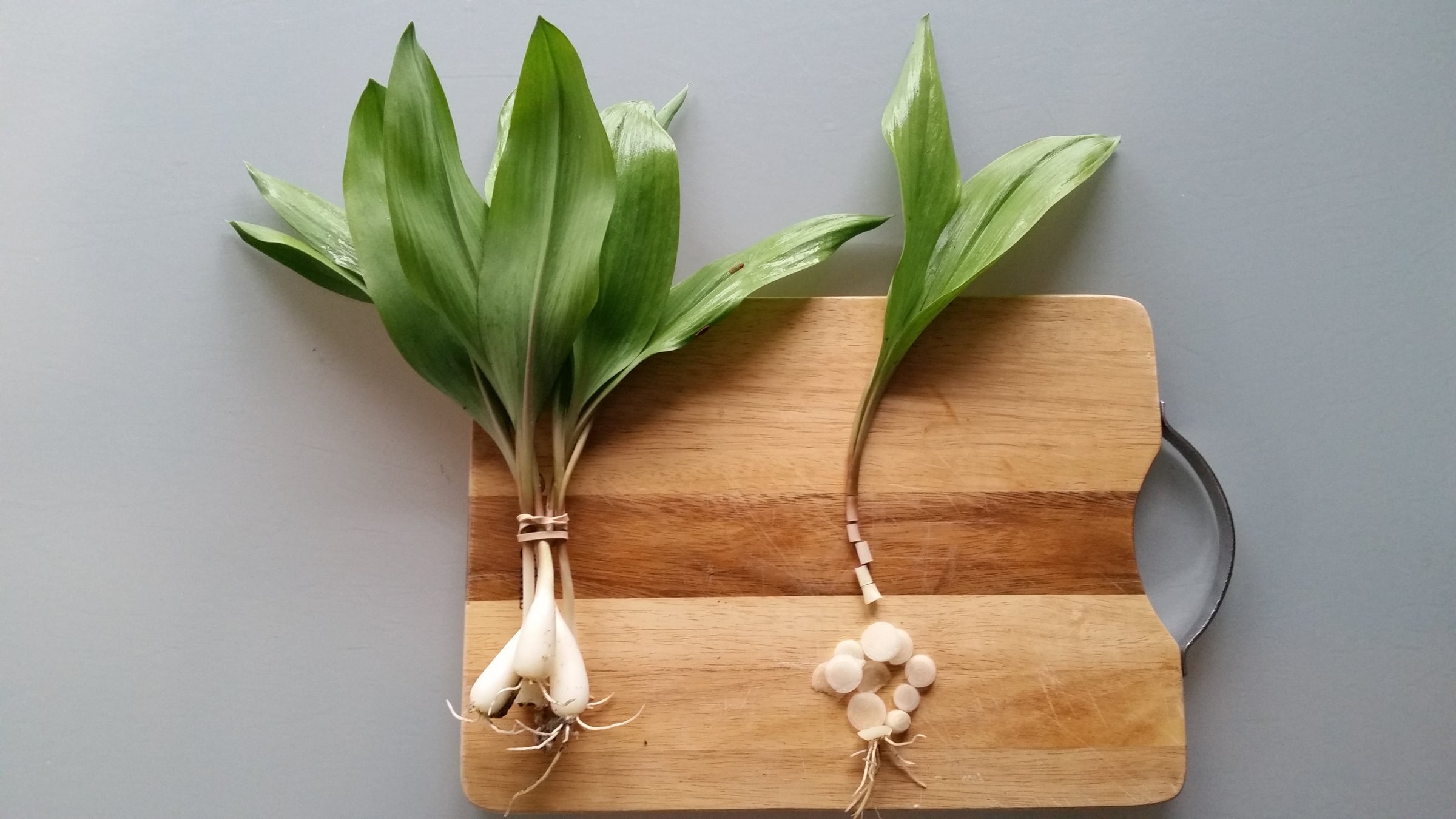 Ramps | Hazelman Farms